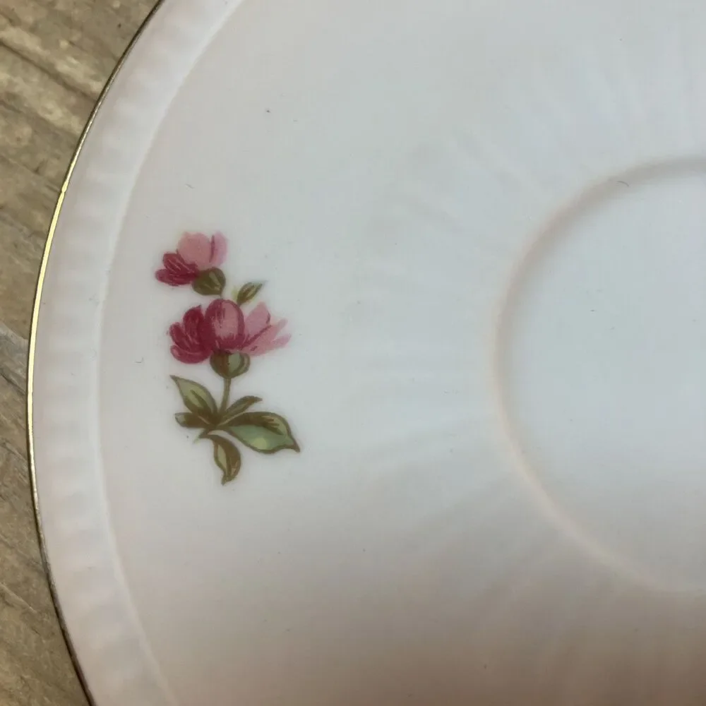 Vintage Bareuther Waldsassen Bavaria Germany Porcelain Tea cup saucer Flower 103